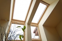 VFE i VIU vertikalni elementi